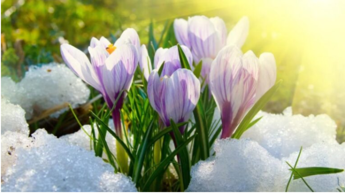 В Україну йде тривалий холод, весна взяла паузу: прогноз погоди від Наталки Діденко